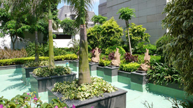 花园庭院