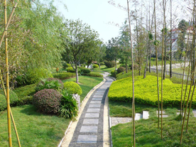 花园庭院