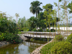 花园庭院