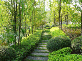 花园庭院
