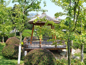 花园庭院