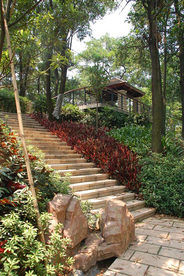 花园庭院