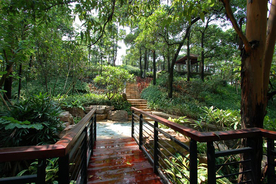 花园庭院