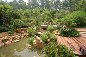 花园庭院