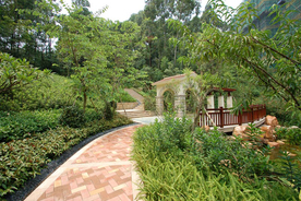 花园庭院