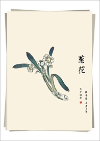 葱 花 水墨画