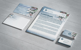 vi模版效果图样机