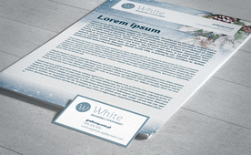 vi模版效果图样机