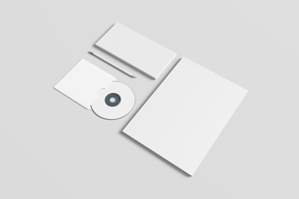 vi模版效果图样机