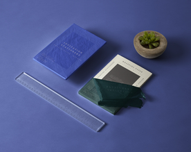 vi模版效果图样机