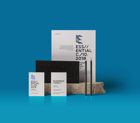 vi模版效果图样机