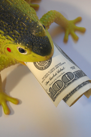 玩具蟾蜍吞钱图片