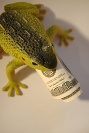 玩具蟾蜍吞钱图片