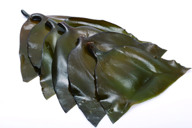 海带丝海带片海带卷图片