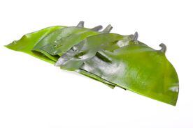 海带丝海带片海带卷图片