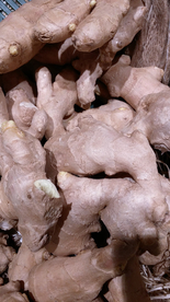 生姜五香调味图片