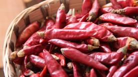 干辣椒辣椒五香调味图片