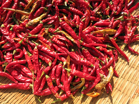 干辣椒辣椒五香调味图片