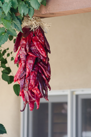 干辣椒辣椒五香调味图片