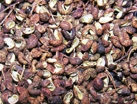 香料五香调味图片