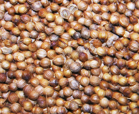 香料五香调味图片