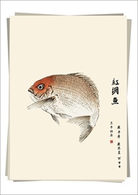 红绸鱼 水墨画