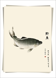 鲫鱼 水墨画