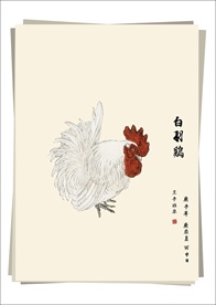 白羽鸡 水墨画