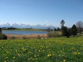 高山流水湖泊风景图片