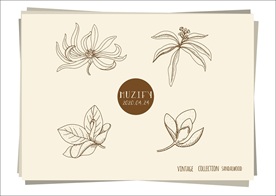 4款入檀香手绘稿