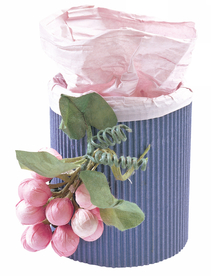 礼盒礼品盒包装图片