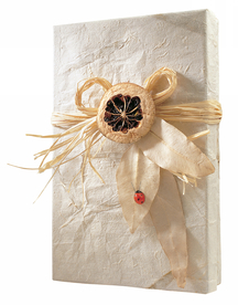 礼盒礼品盒包装图片