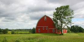 一棵树唯美意境图片