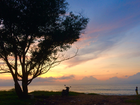 一棵树唯美意境图片