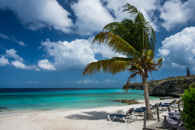 一棵树唯美意境图片