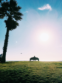 一棵树唯美意境图片