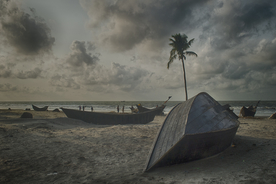 一棵树唯美意境图片