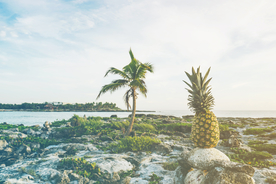 一棵树唯美意境图片