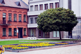 一棵树唯美意境图片