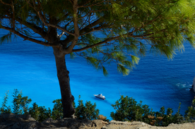 一棵树唯美意境图片