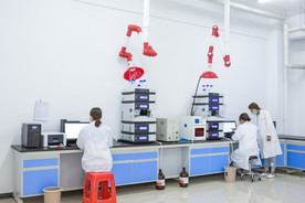 分析师 检测中心