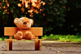 玩具熊毛绒玩具图片