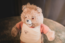 玩具熊毛绒玩具图片