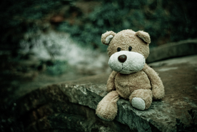 玩具熊毛绒玩具图片