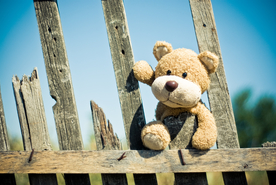 玩具熊毛绒玩具图片