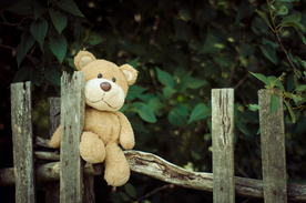 玩具熊毛绒玩具图片