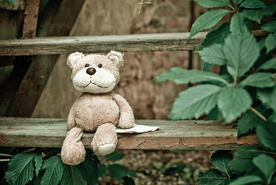 玩具熊毛绒玩具图片