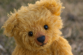 玩具熊毛绒玩具图片