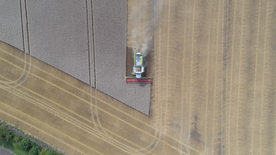 收割机丰收图片