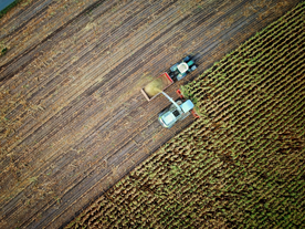 收割机丰收图片